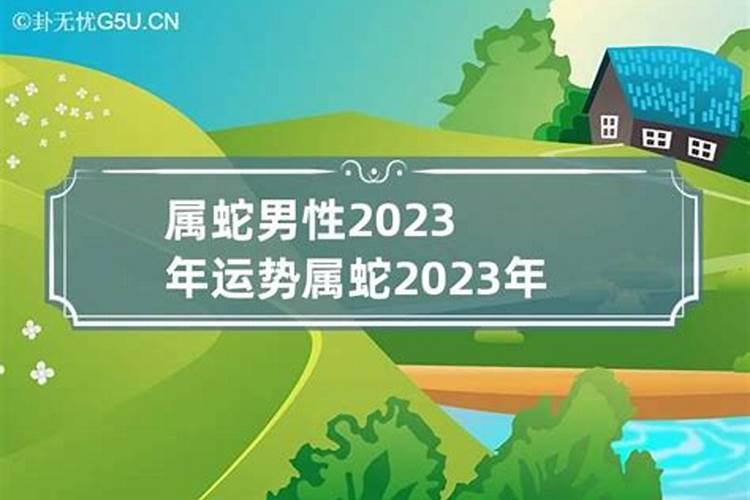 属蛇今日运势查询：精准预测，助你把握每日机遇与挑战