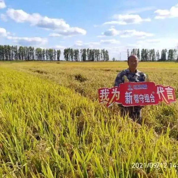 今日粮价调查：各类粮食价格动态分析及发展趋势