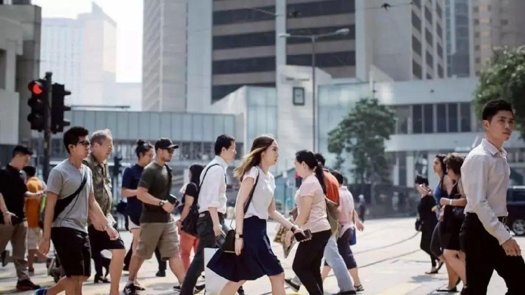 双港最新招聘信息汇总：职位、薪资及发展前景深度解析