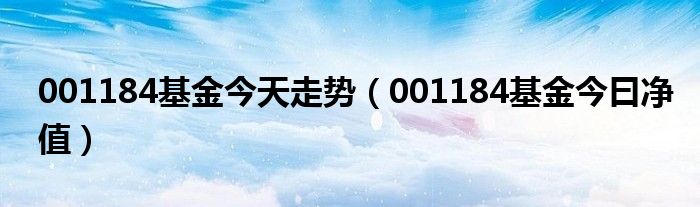 深度解析001128基金今日净值：涨跌背后的投资逻辑与风险评估