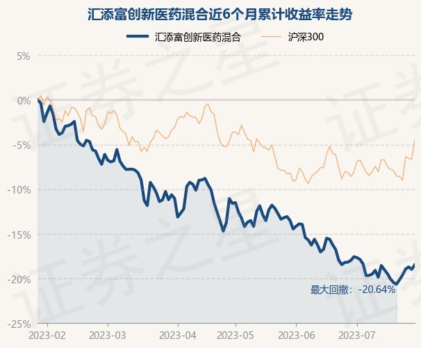 深度解读006113基金今日净值：投资风险与未来走势分析