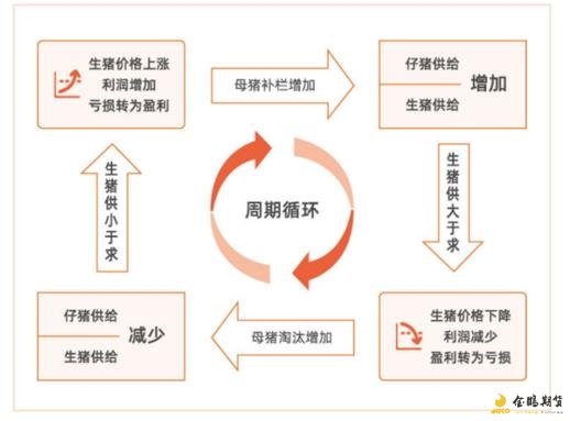 猪易网今日生猪价格深度解析：市场行情、影响因素及未来走势预测