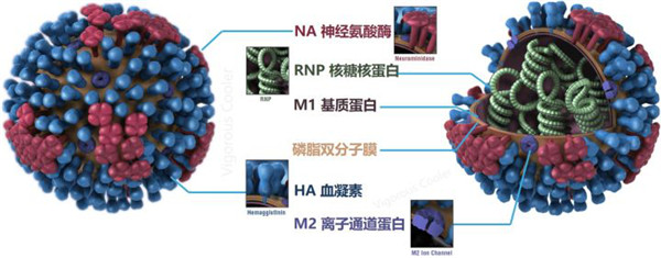 云淡风轻 第70页