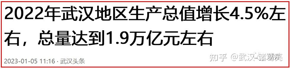 武汉最新调查：深度解析城市发展脉搏与未来趋势