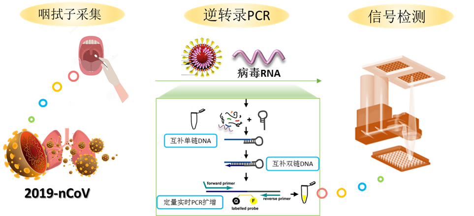 核酸检测最新排队现状及未来趋势：优化策略与挑战