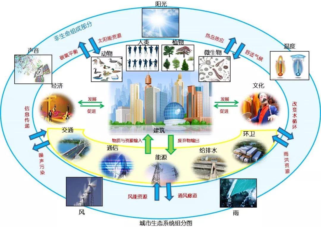 分析全国最新日期：时间的流动与其影响