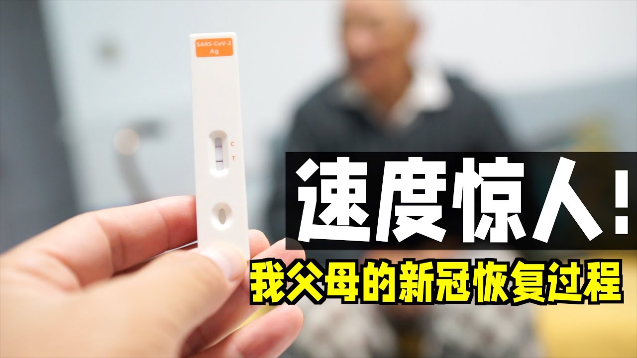 邢台病毒疫情最新通报：实时动态追踪与风险研判