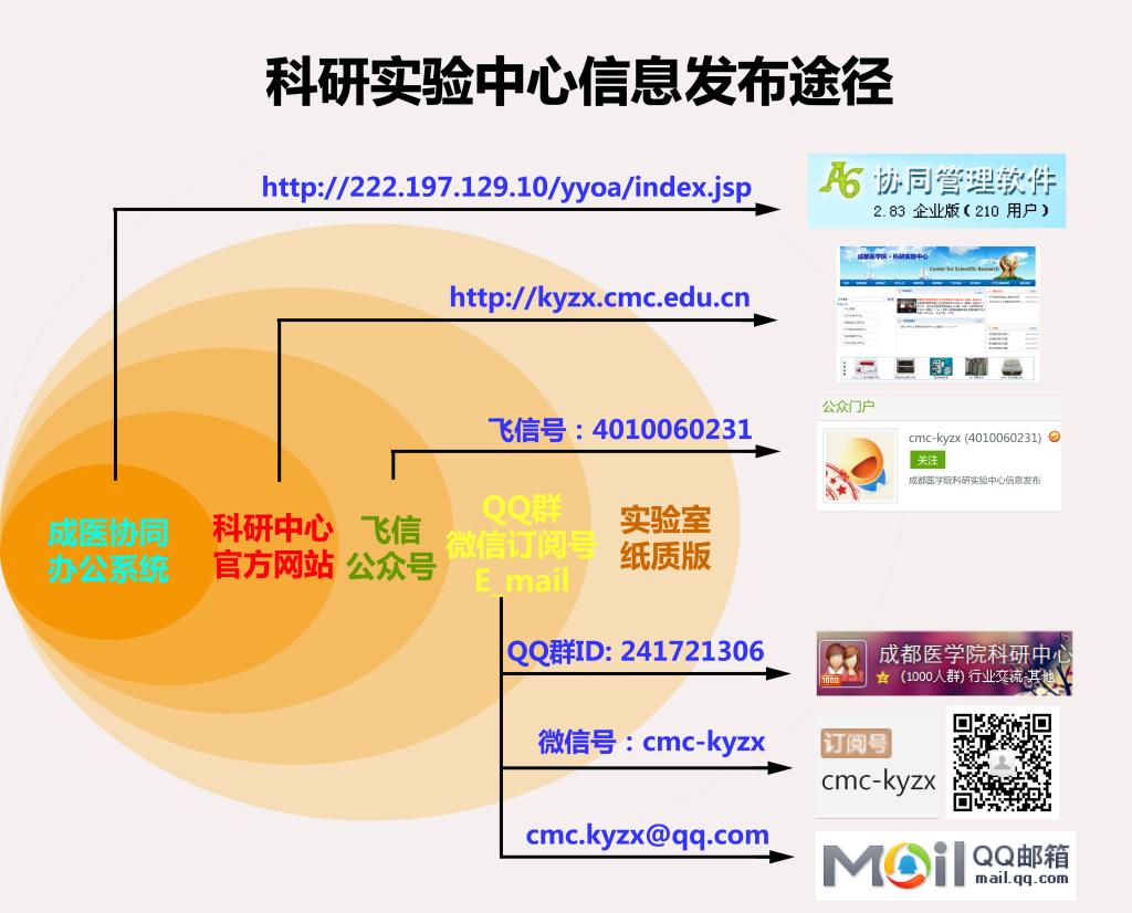 疫情最新数据消息官方解读：权威信息发布与公众认知的挑战