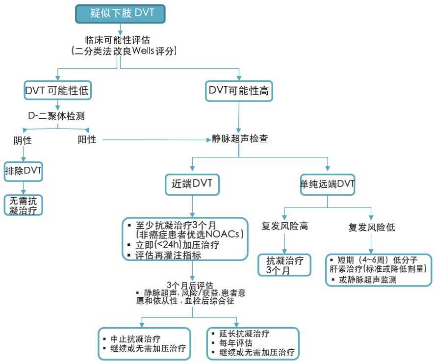 最新治疗脑血栓：技术革新与未来展望