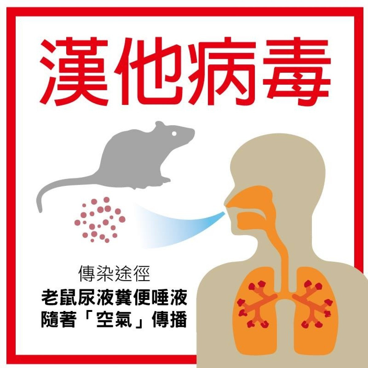 最新病毒汉坦研究：传播途径、预防措施及未来挑战