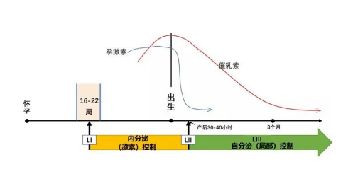 最新母乳播放的安全问题与发展趋势