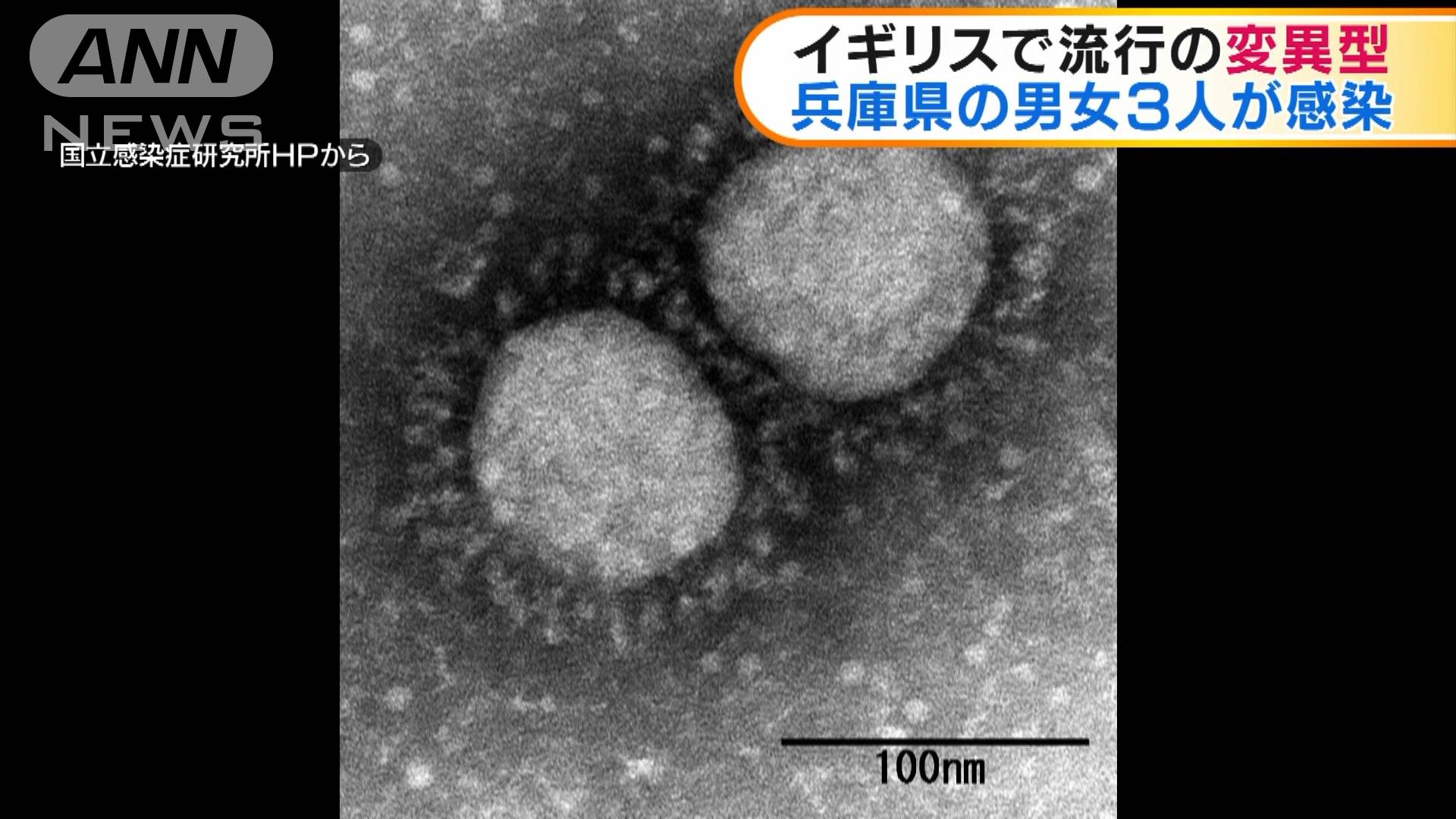 湘西最新疫情通报：深入分析病情发展趋势及应对策略