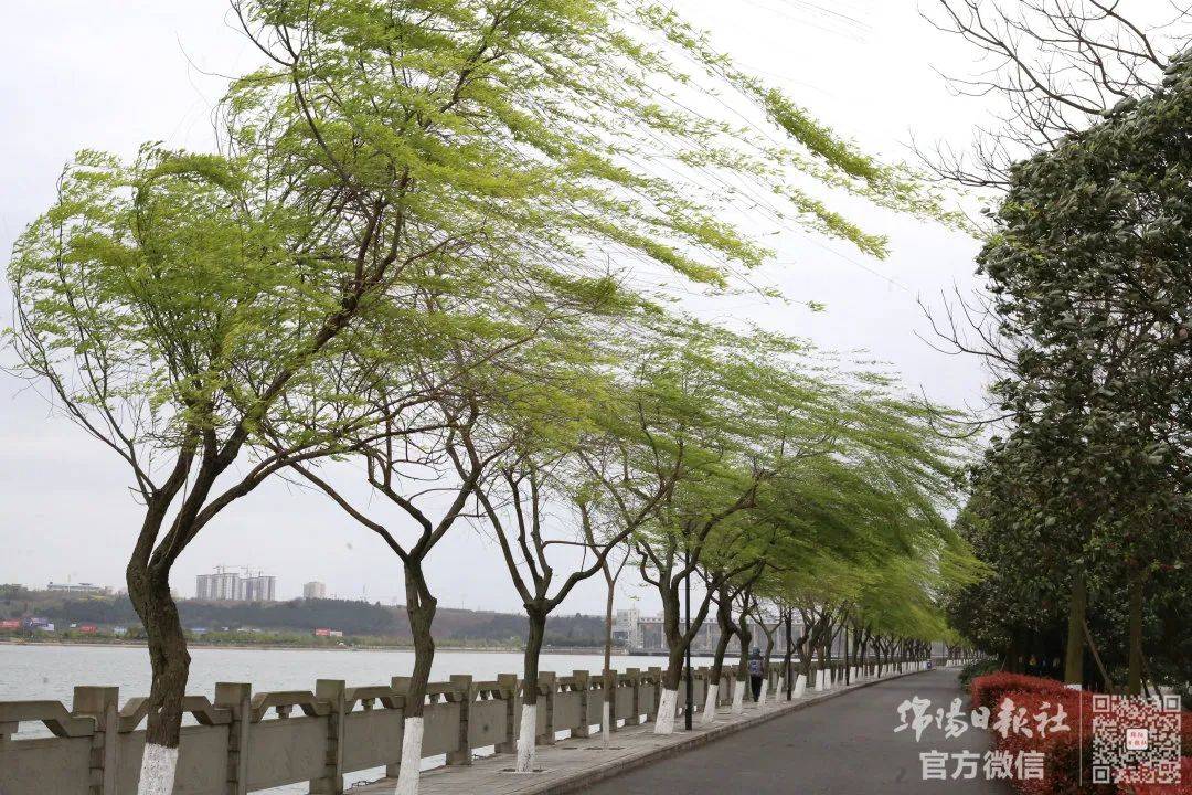 绵阳最新暴雨：灾情评估、应急响应与未来防范