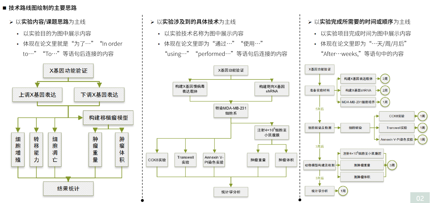 巴力最新实时路径分析：实时许可性与危险风险管理