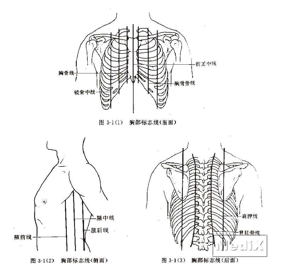 探秘最新战区胸标：设计理念、象征意义及未来发展趋势