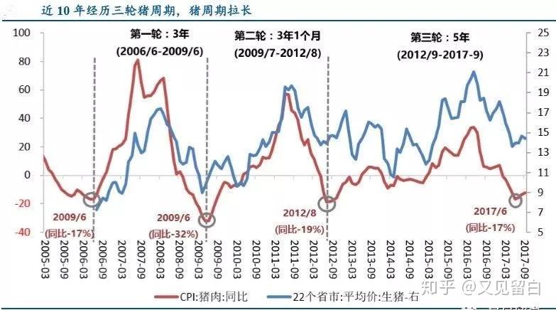 探秘最新的猪猪：市场动态、养殖技术与未来展望