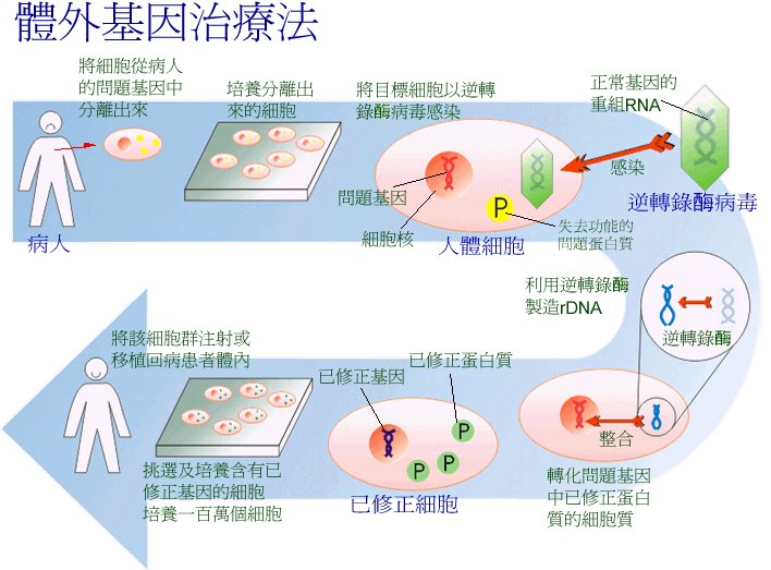 解码美国最新医药：创新疗法、市场趋势及未来挑战