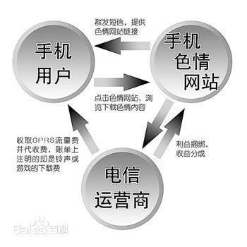 解析最新网站黄网：危险、机会和发展趋势