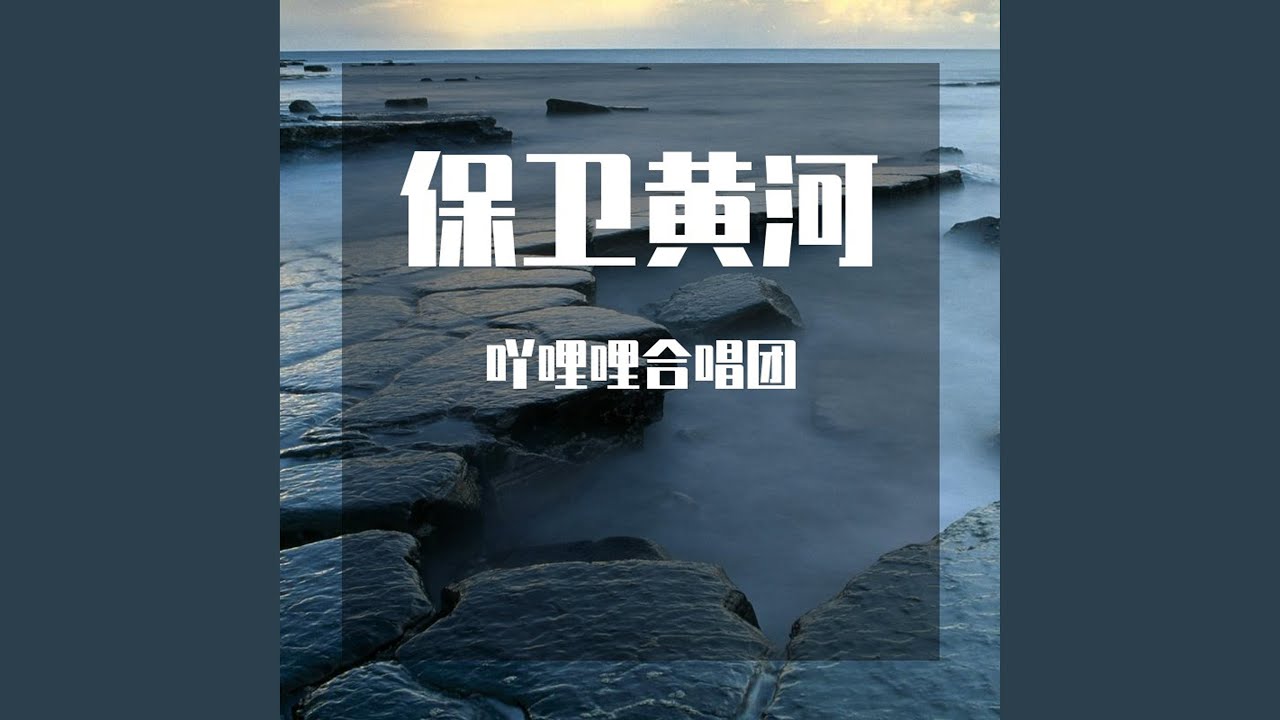 聚焦郑州市黄保卫最新消息：政策解读、社会影响及未来展望