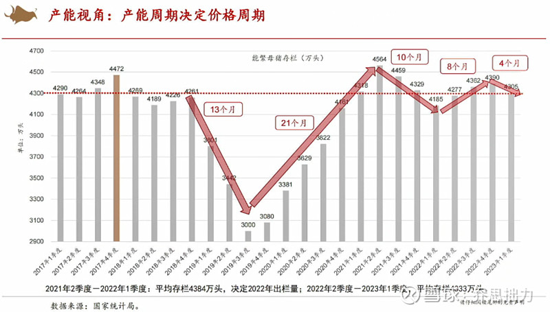 明日猪价最新报价：前景分析以及对农民的影响