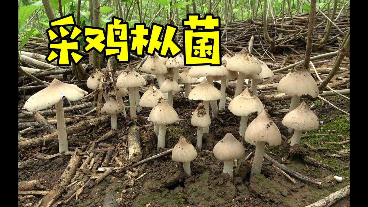 静水流深 第25页