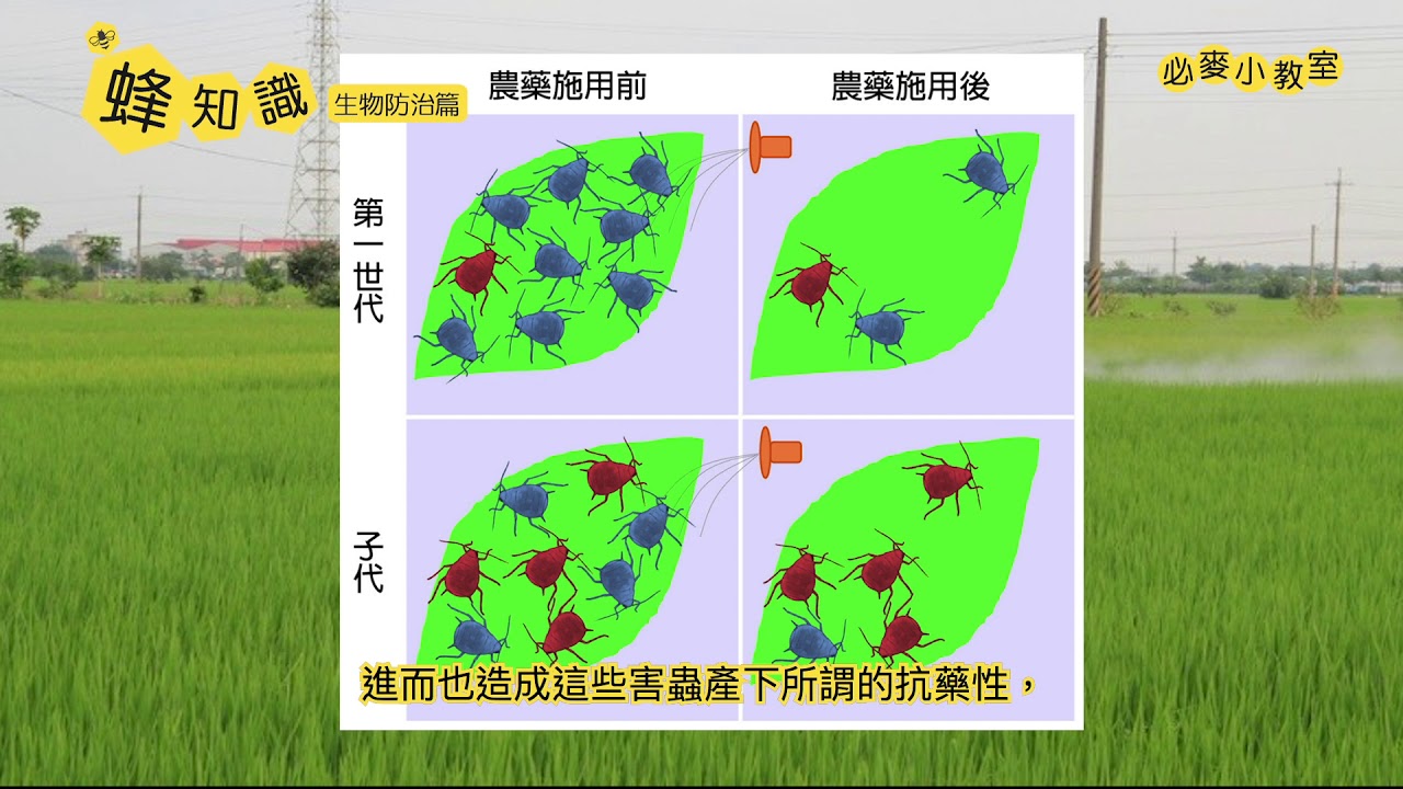 蝗虫最新动态：全球蝗灾风险及中国防控策略