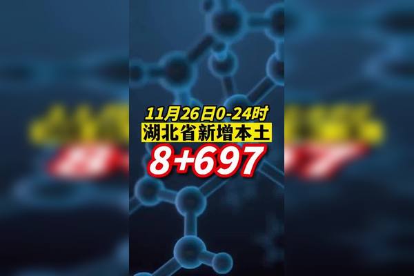 湖北最新疫情动态：防控措施、社会影响及未来展望