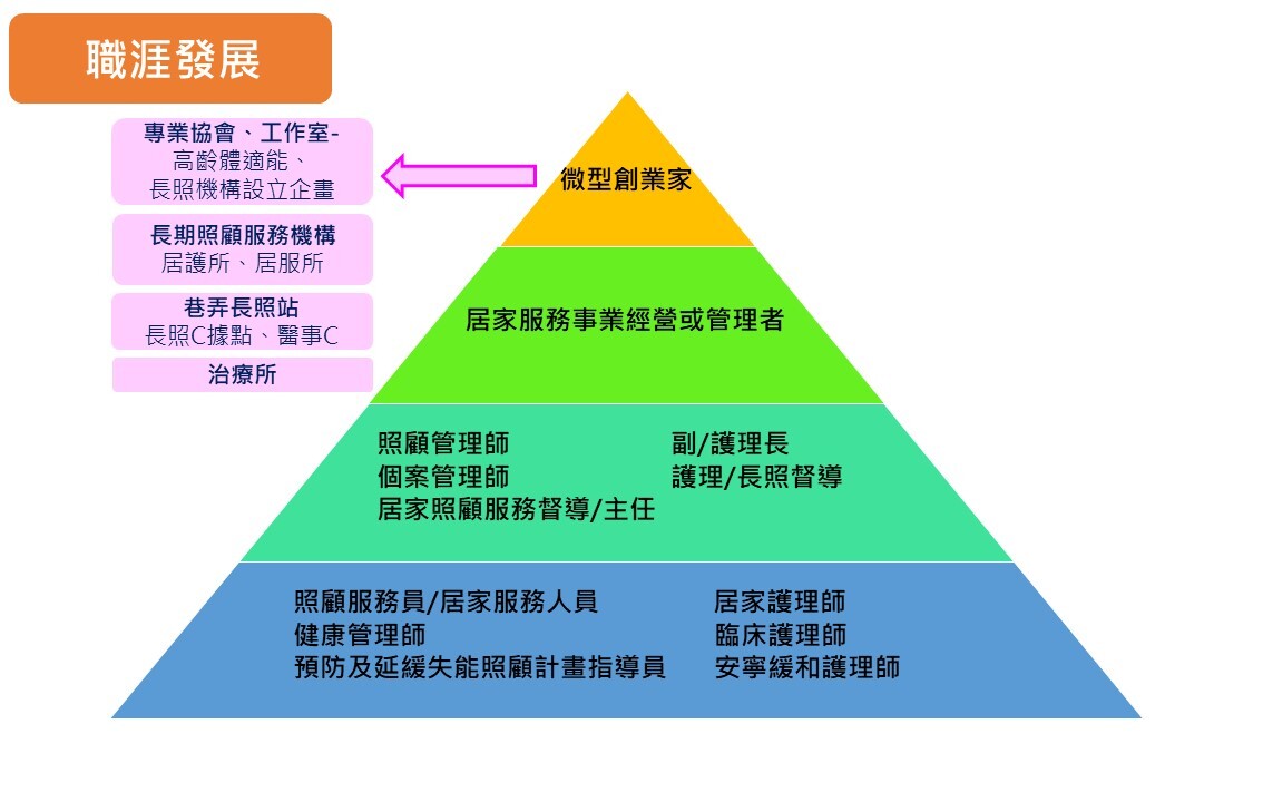 厉风行最新动态：全方位解读其发展历程、未来趋势及潜在挑战