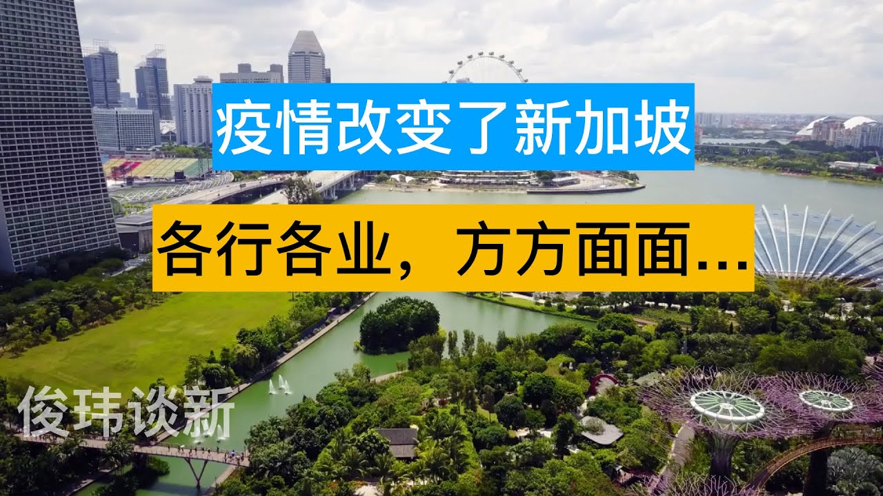 今日新加坡最新疫情：分析当前趋势和中长期发展趋势