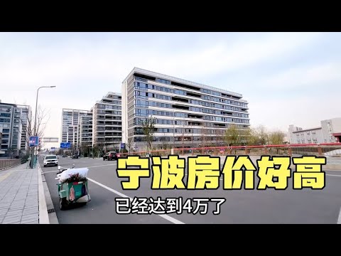 宁波最新二手房价格深度解析：区域差异、市场趋势及未来展望