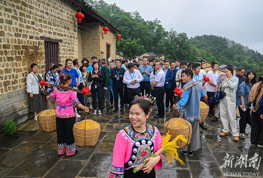 聚焦湘西：深度解读最新新闻头条及发展趋势