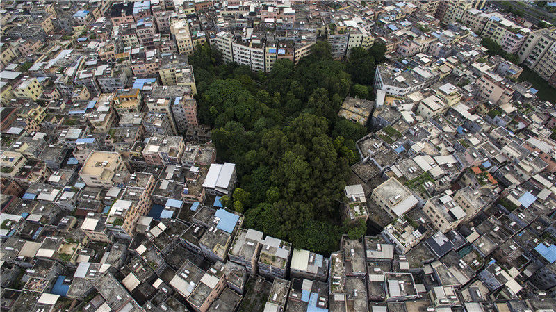 太原市城中村最新情况：新城建设与居民移民问题分析