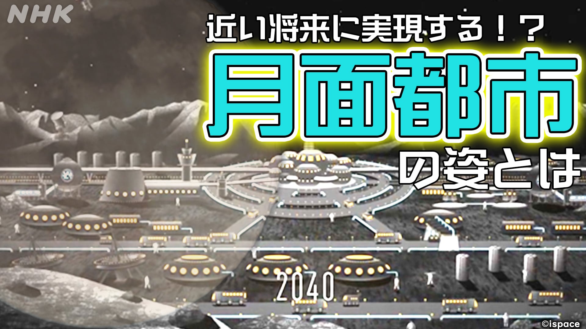 日本最新月季品种赏析：从育种技术到市场趋势的全方位解读