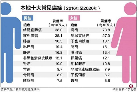 深度解读：最新病历统计数据分析及未来趋势预测