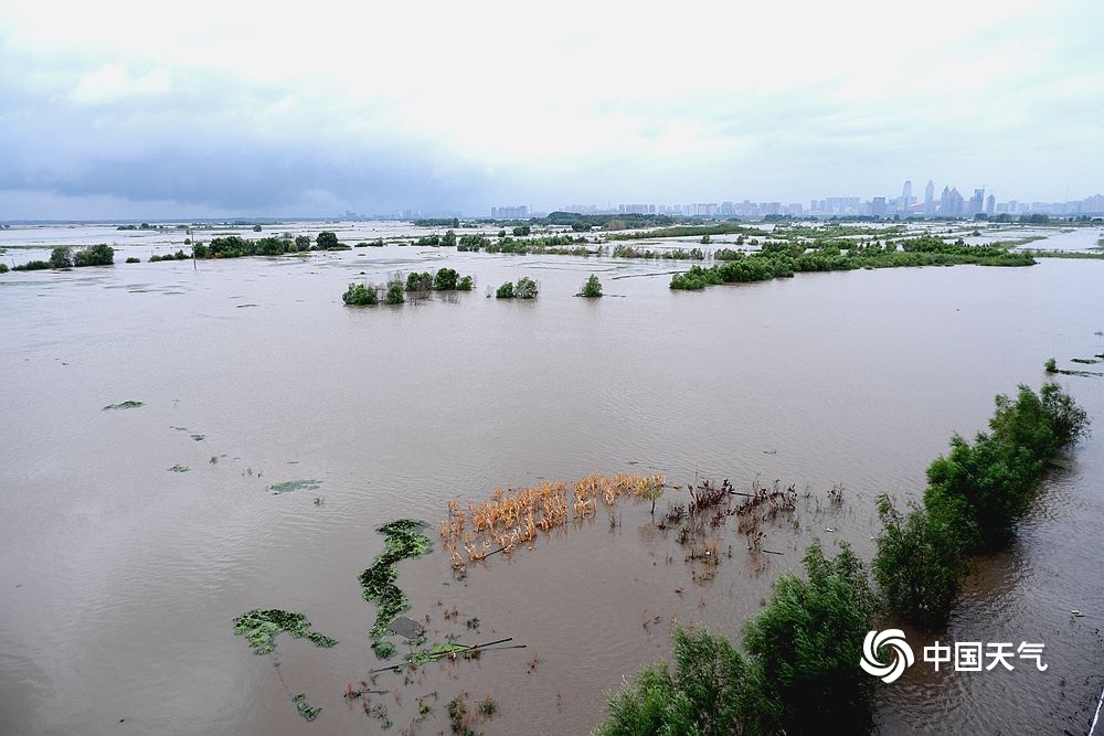 松花江哈尔滨水位最新消息：实时监测与未来预测