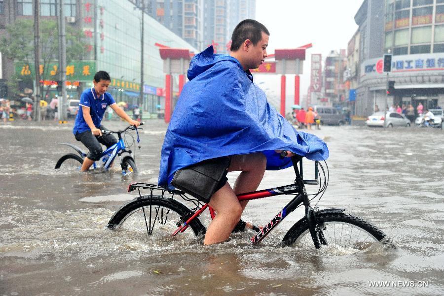 大到暴雨最新通知：各地灾情及防御指南详解