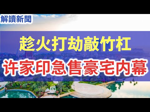 海南海花岛最新进展图：项目现状、未来规划及潜在风险深度解析