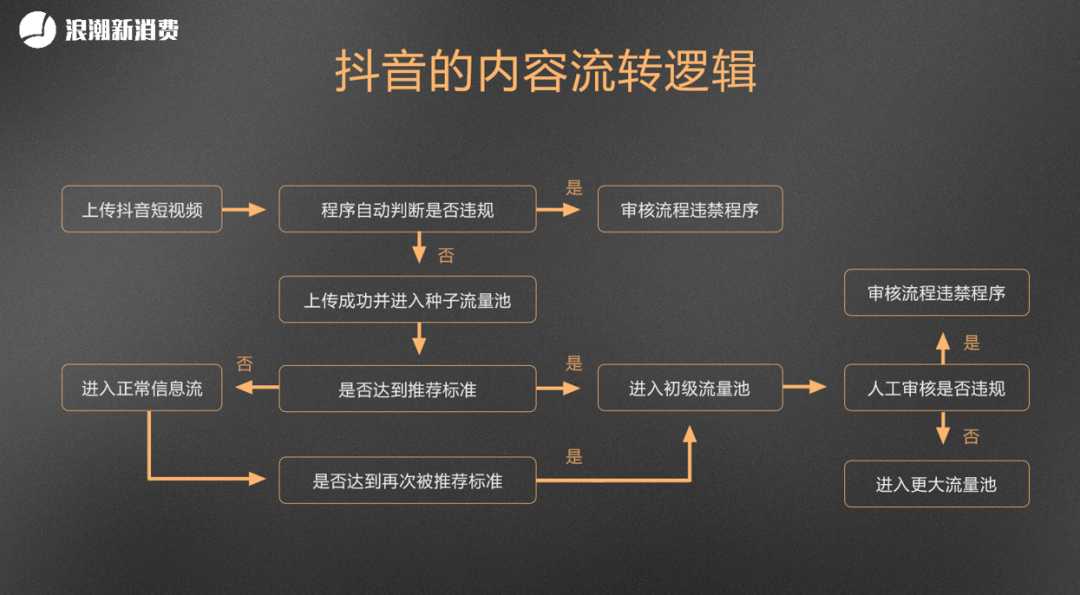 解码最新最火视频：爆款背后的算法、趋势与风险