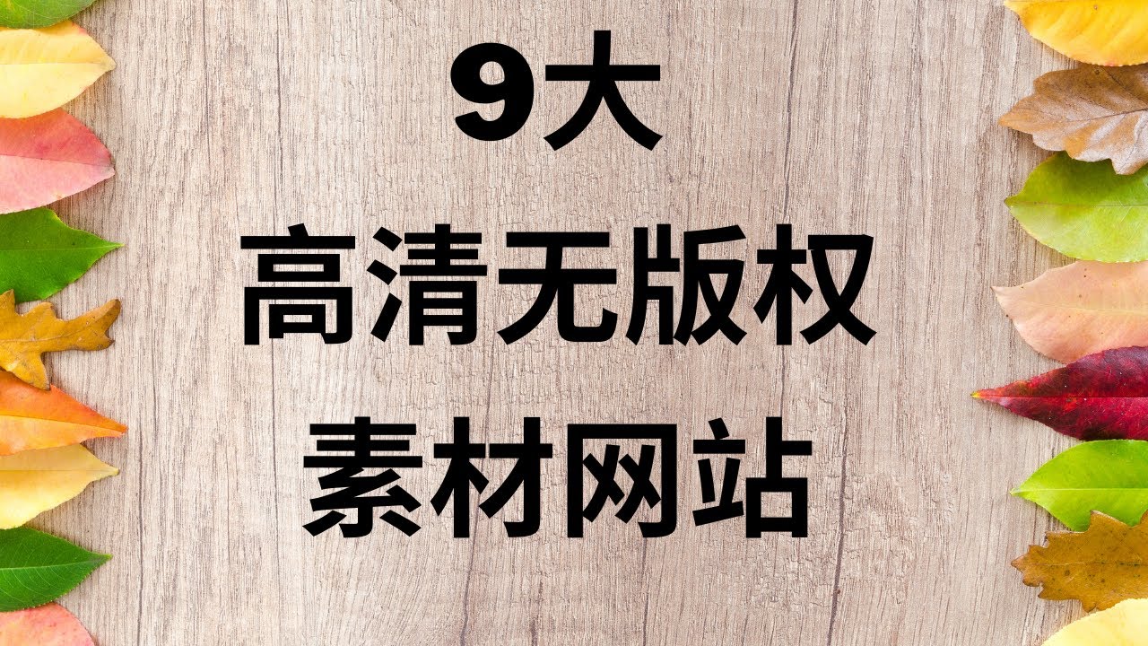 比比最新资源深度解析：趋势、挑战与未来发展