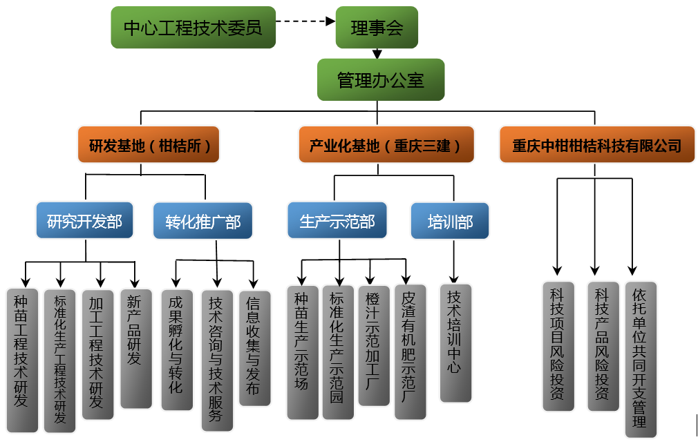 柑桔最新嫁接法详解：提升柑桔产量和品质的有效途径