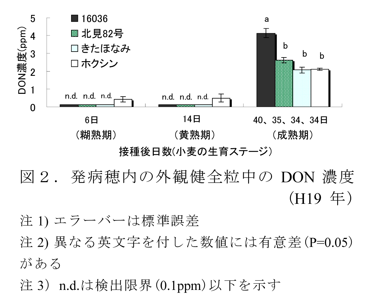 最新安徽麦病形势分析：病害类型、防治策略及未来趋势