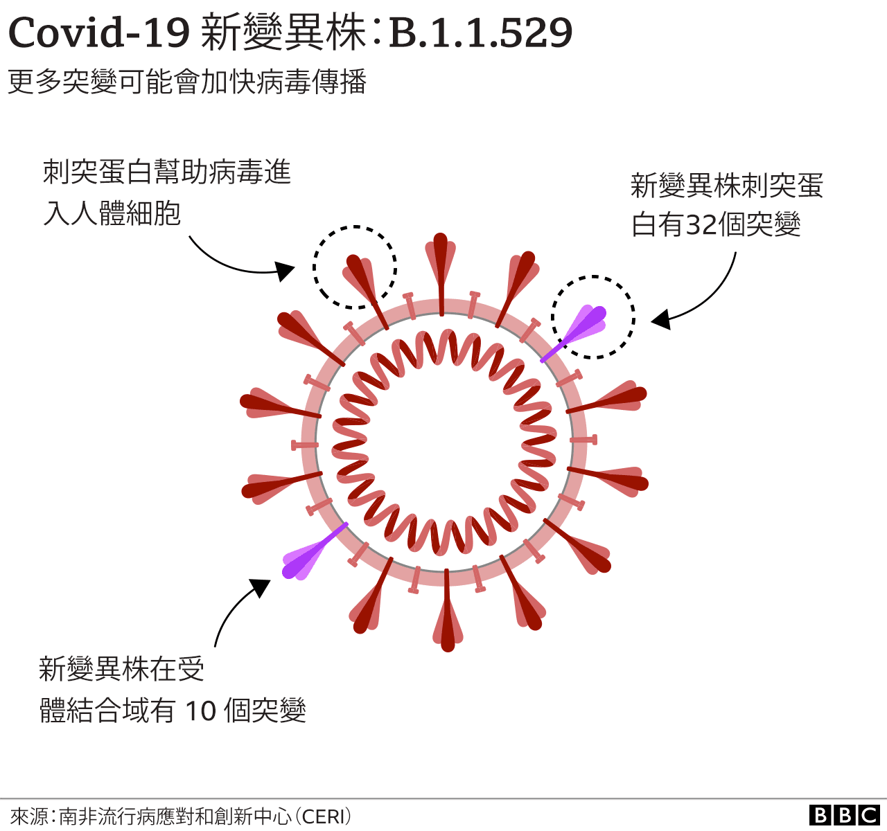 全球疫情最新情况国家报告：病毒变异、防控策略与未来展望