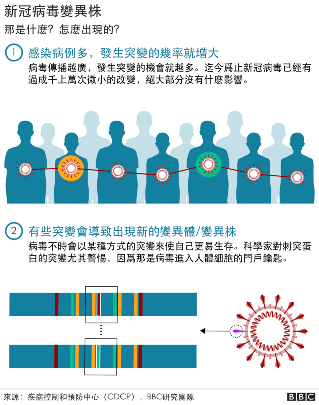 最新疫情实时更新全球：病毒变异、传播途径及全球防控策略分析