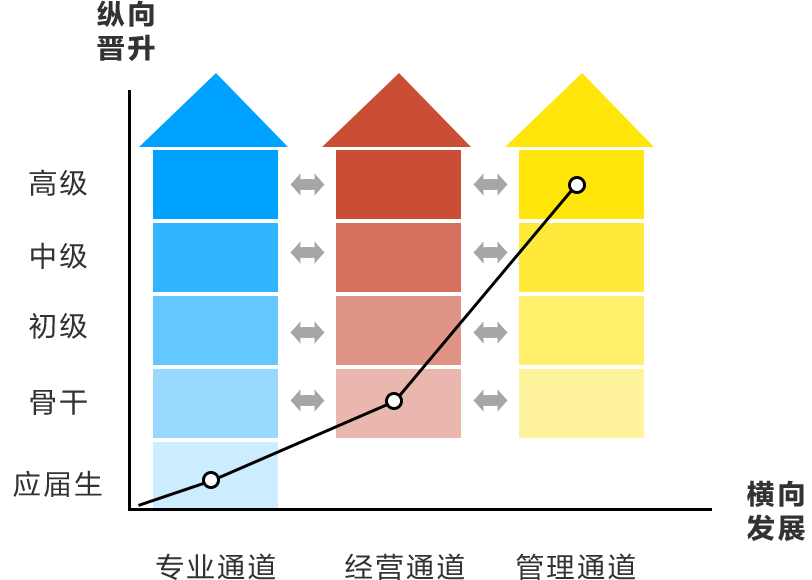 辉丰最新动态：深度解析公司发展现状及未来趋势