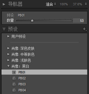 LR最新版教程详解：从入门到精通的完整指南