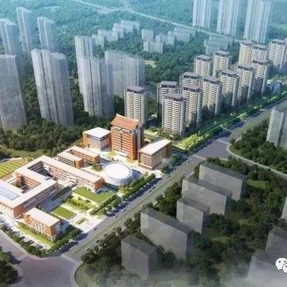 泉州市最新城市规划：聚焦环湾经济区建设与城市更新