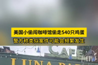 寻找章莹颖最新进展：案件回顾、社会影响与未来反思