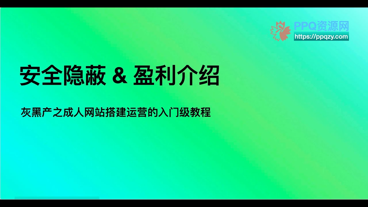 五月天色婷婷最新网站深度解析：发展现状、潜在风险及未来趋势