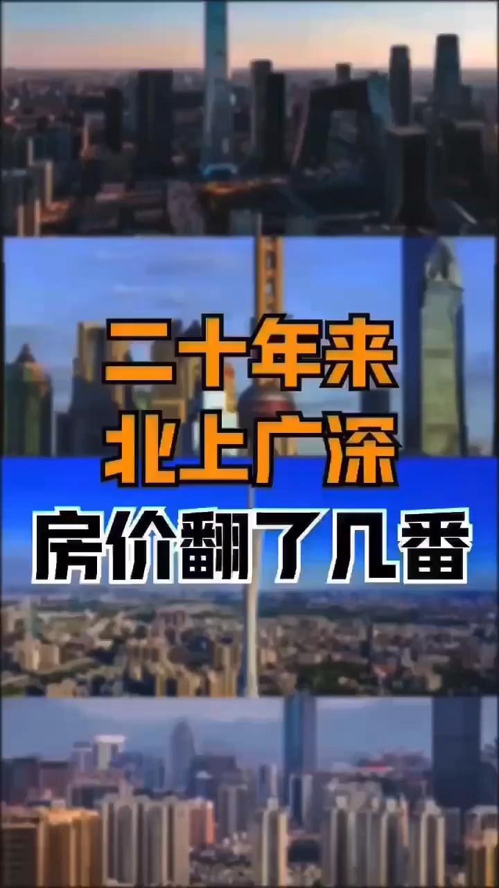 2025年2月8日 第3页