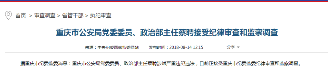 重庆市公安局长何挺最新消息：履职表现、未来走向及社会影响深度解读